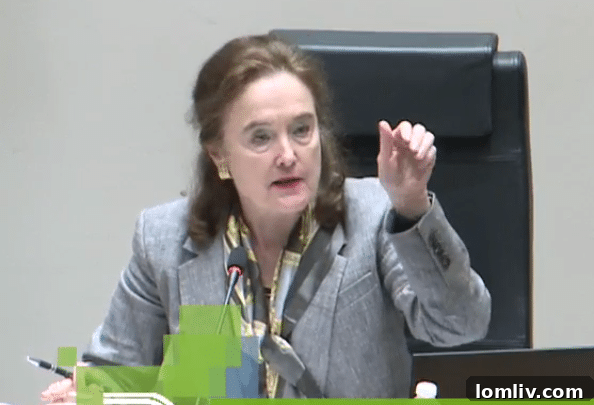 District 13 Plan Commissioner Claire Stanard expressing her enthusiasm for the Walnut Hill development.