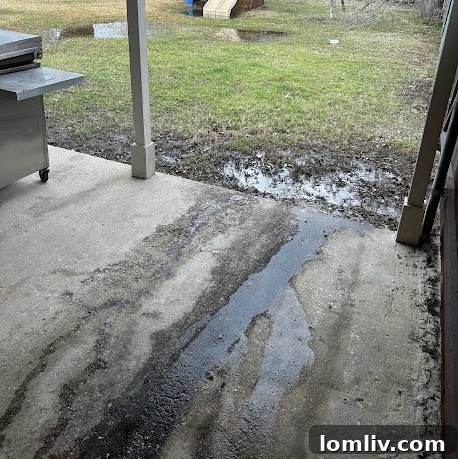 Water leaks - a severely leaky plumbing cleanout causing a muddy puddle