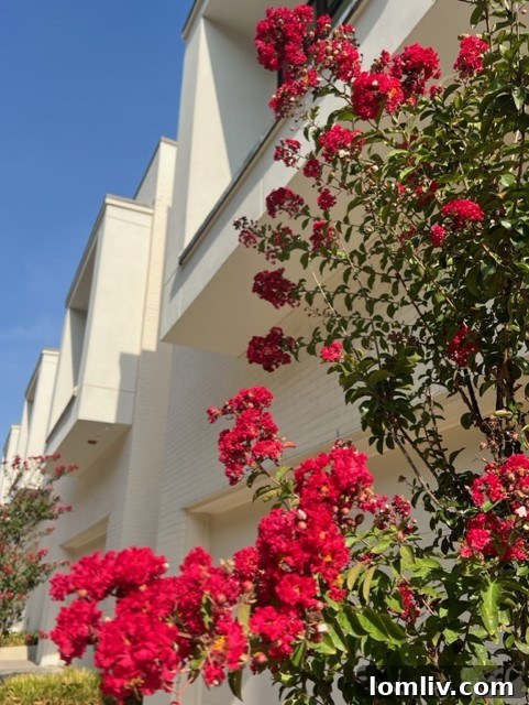 Interior view of a modern living space in a Kessler West townhome.