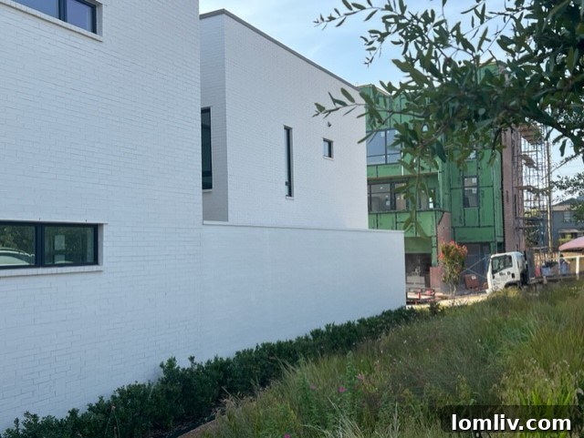 Exterior facade of a Kessler West townhome, blending modern aesthetics with surroundings.