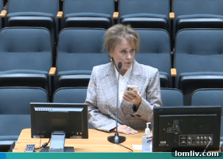 Belinda Epps, President of the MetroTex Association of Realtors, advocating for property tax relief.