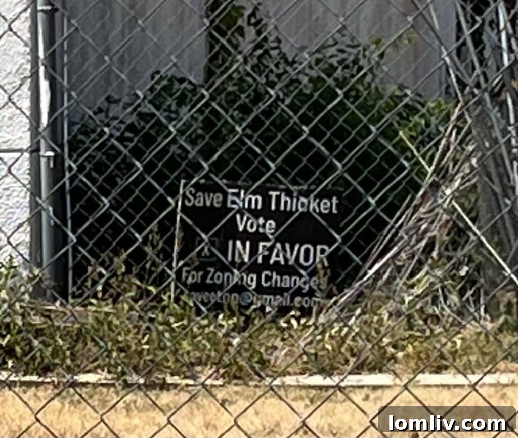 Construction activity in Elm Thicket/Northpark