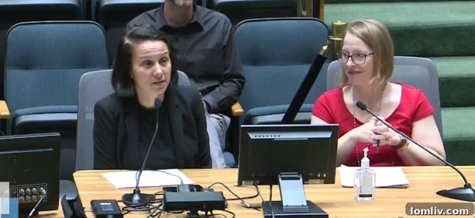 Assistant Director of Planning and Urban Design Andreea Udrea and Director Julia Ryan discussing critical parking reform initiatives for Dallas.