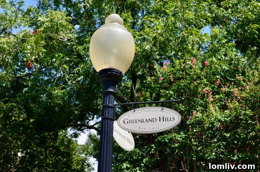 Greenland Hills Interior