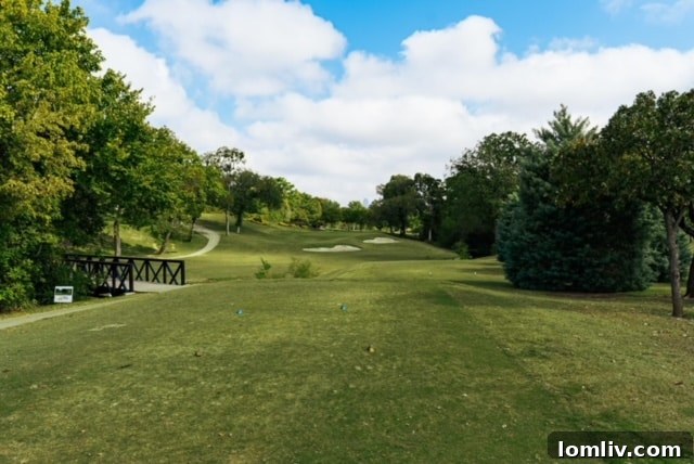 People enjoying a park, illustrating the importance of Dallas Park and Recreation facilities.