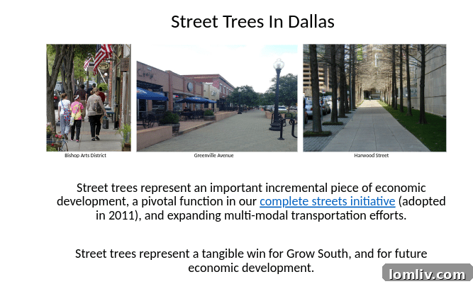 Aerial view of a Dallas neighborhood with a mix of green spaces and residential areas.