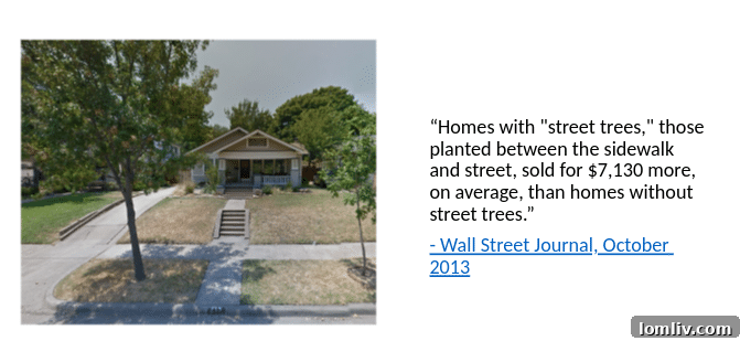 Tree-lined streets creating shaded pathways in a Dallas residential area.