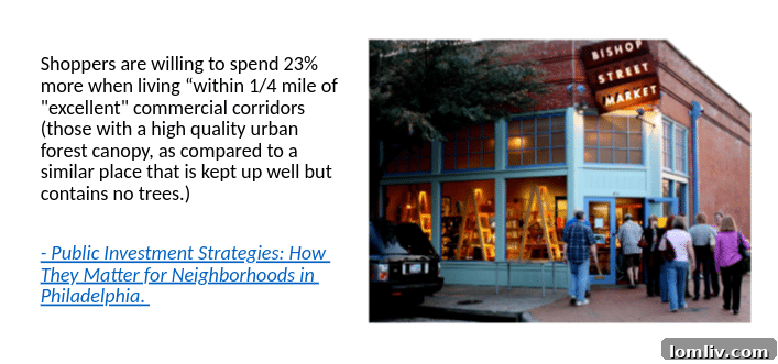 Healthy trees thriving along a Dallas street, contributing to air quality and shade.