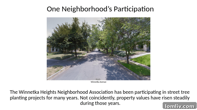 Ryan Behring's presentation slide showcasing the benefits of urban reforestation.