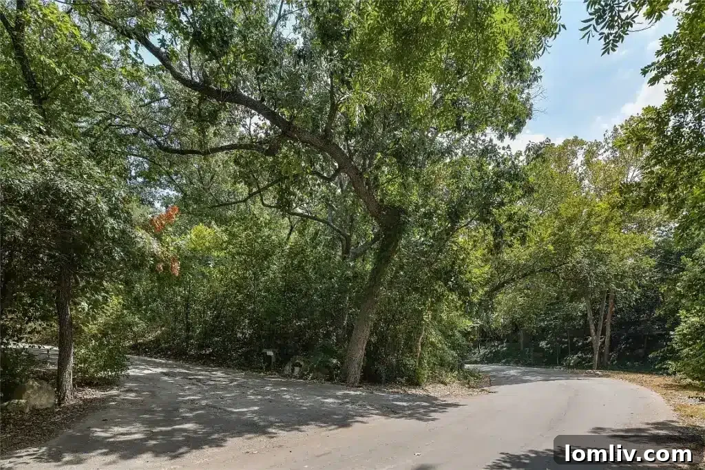 Mature trees and lush greenery lining a residential street in Bluffview Estates Dallas