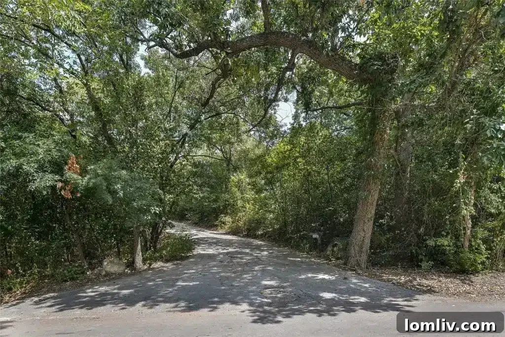 Serene residential street view showcasing upscale homes nestled among trees in Bluffview