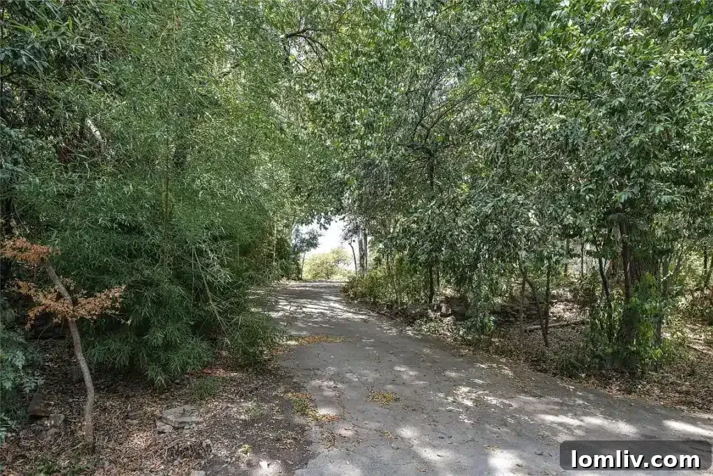 Overhead view of a beautiful home with expansive grounds and mature trees in Bluffview Estates