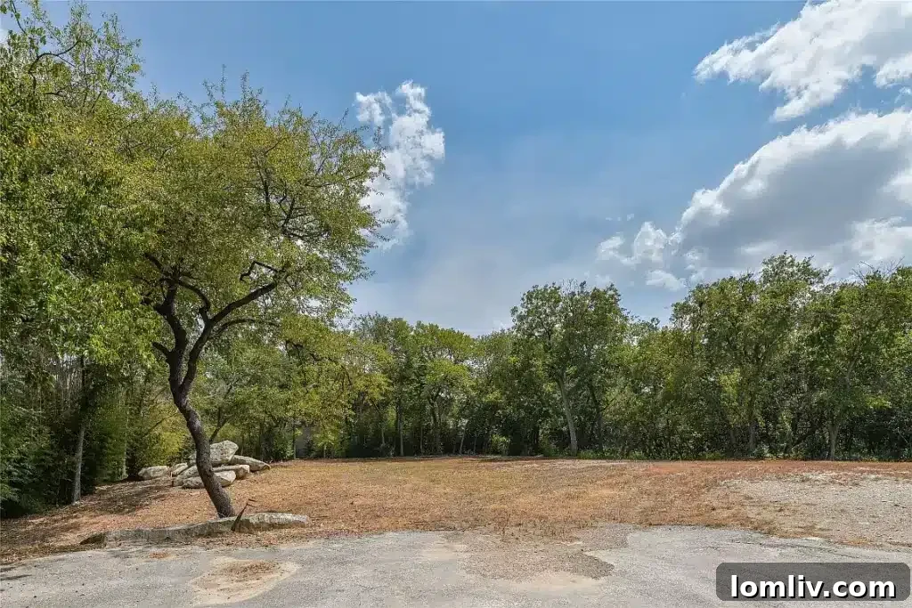 Elegant streetscape with manicured lawns and mature trees in a luxurious Dallas neighborhood