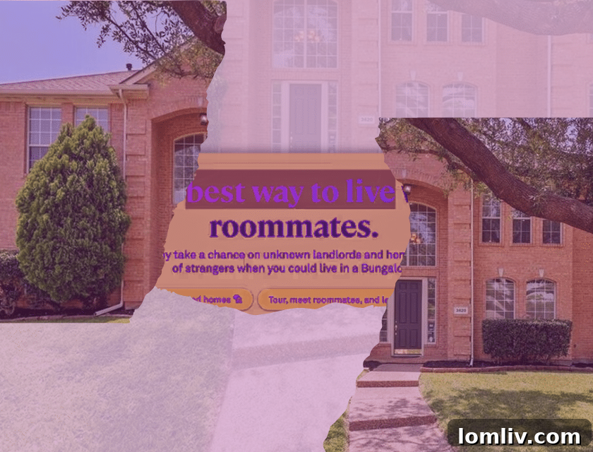 Residential street in Plano, Texas, facing issues with unpermitted boarding houses.