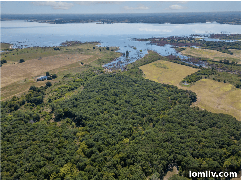 An aerial view showing the vast potential of the Bois D'Arc Lake development.