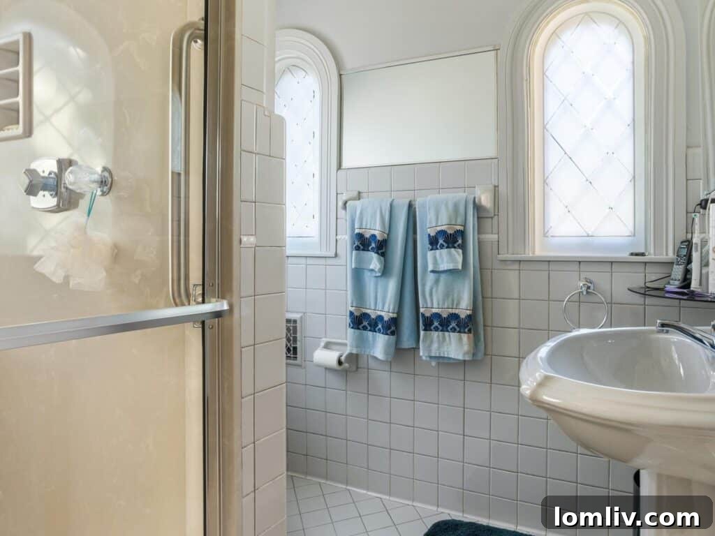 Park Hill's Historic Gem: Full Basement Potential at an Unbeatable Price 9 img 334134 8