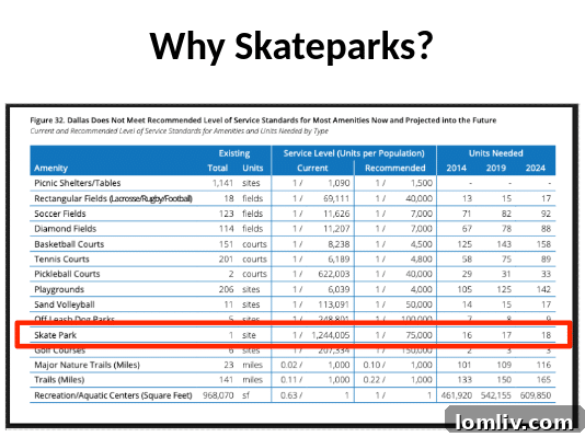 Rudy Karimi's informative presentation slide comparing the number of Dallas skate parks to other popular park amenities.