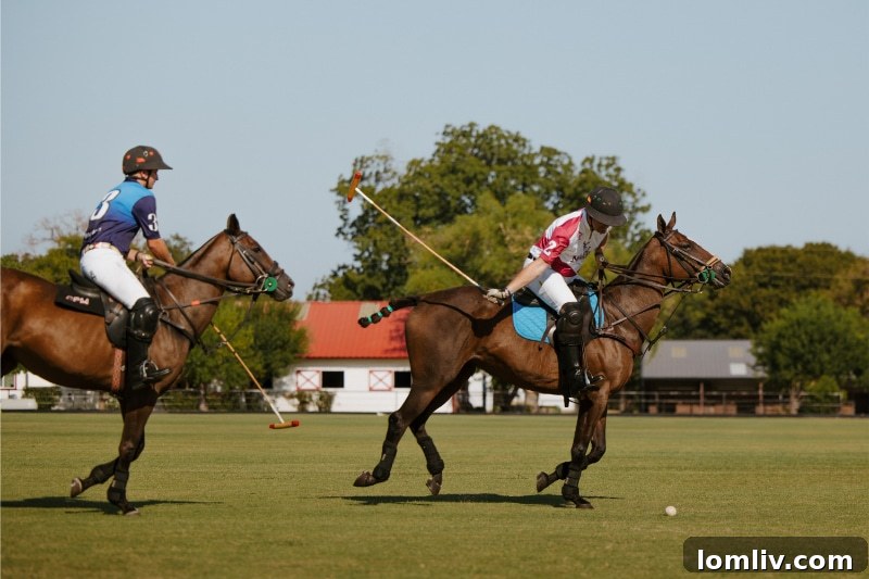 Mayer Ranch Polo Field in Cross Roads, Texas