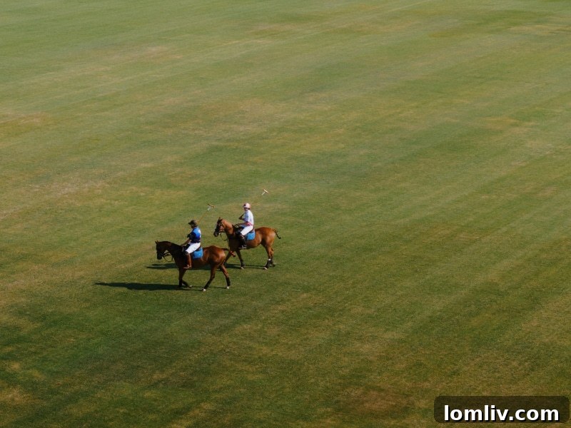 Aerial view of Mayer Ranch Polo facilities