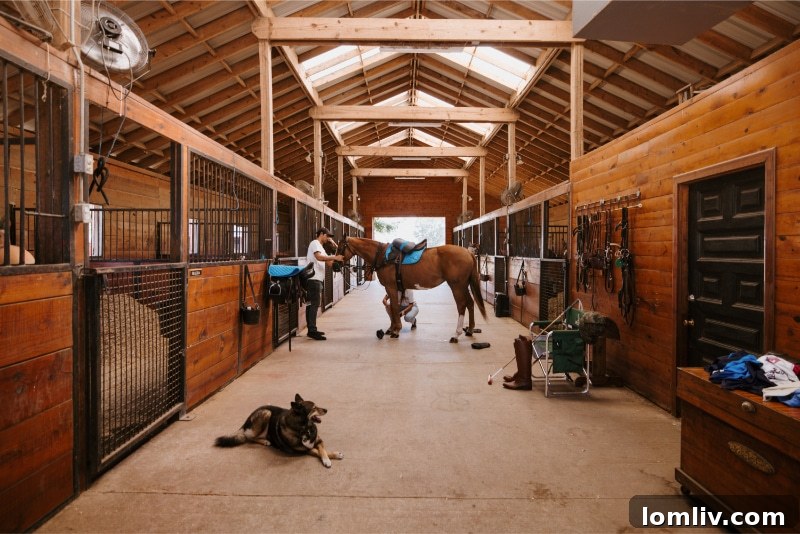 Mayer Ranch covered arena and barns
