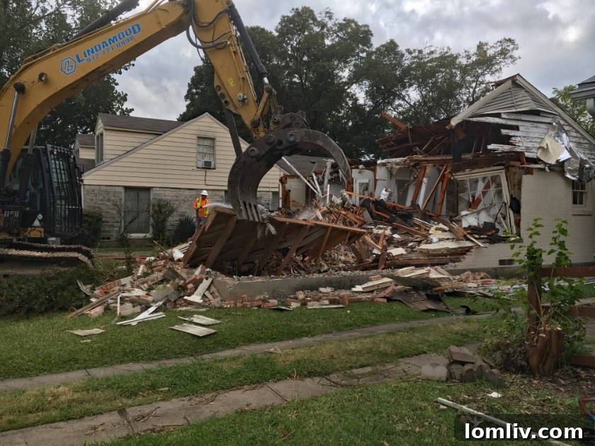 The Elm Thicket/Northpark neighborhood, reflecting its unique community spirit amidst ongoing development challenges.