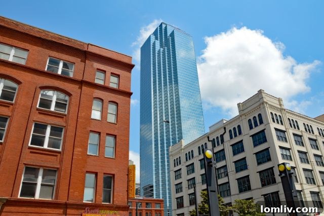 Dallas Leaders Press Economic Development for Aggressive Business Growth 5 Deputy Mayor Pro Tem Carolyn King Arnold, advocating for aggressive economic development.