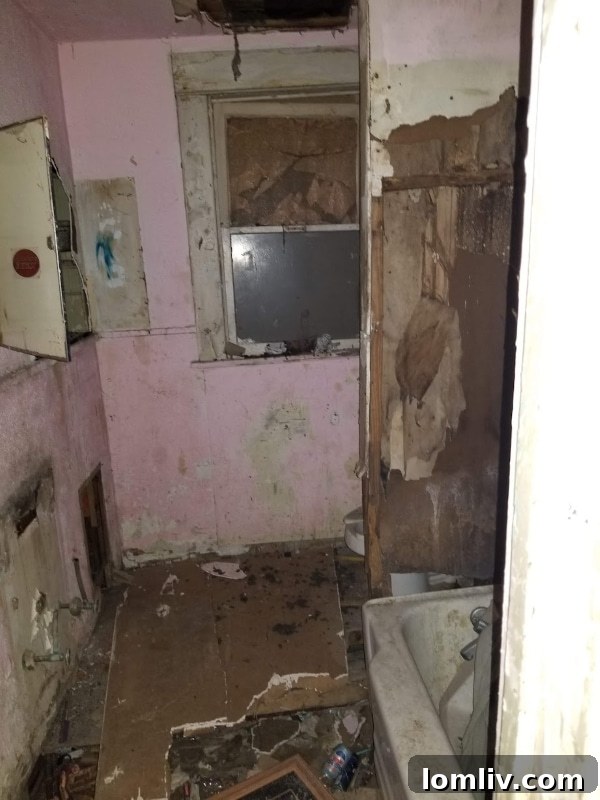 Interior view, emphasizing open concept