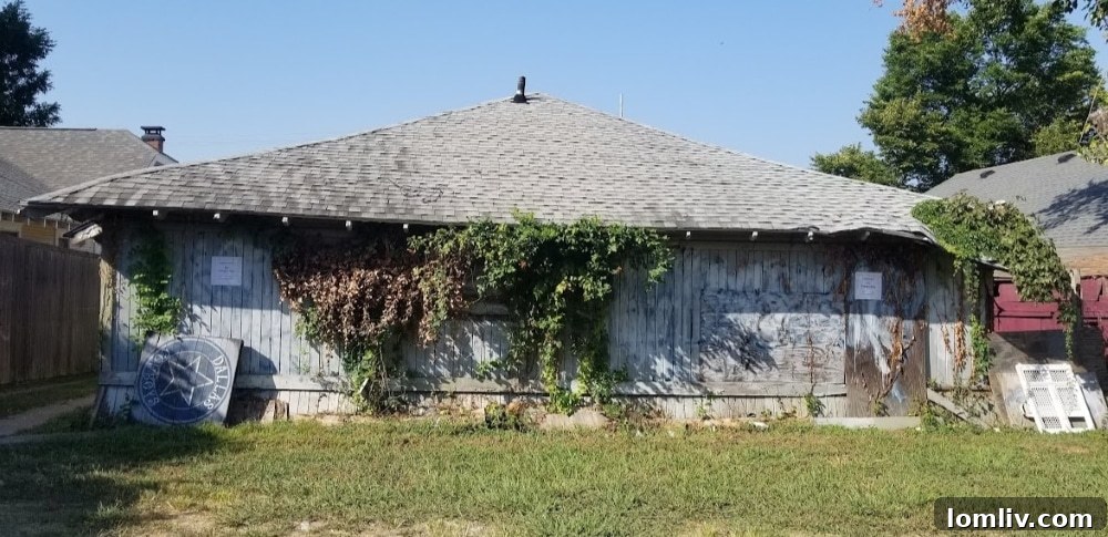 Rear of the house before renovation