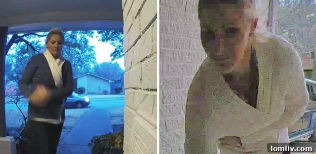 Lakewood's Porch Pirate Busted: Identity Revealed 2 Lakewood neighborhood street view, symbolic of the affected areas