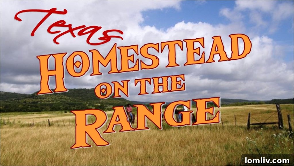 Texas Homestead Rights protect homeowners from creditors