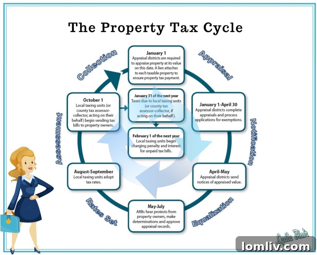 Understanding the Texas Property Tax Cycle