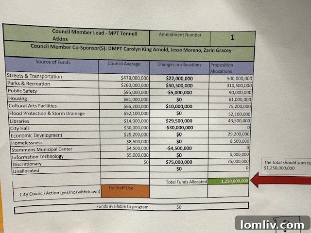 Dallas City Council bond allocations informally approved 9-6 at the Jan. 31 meeting.
