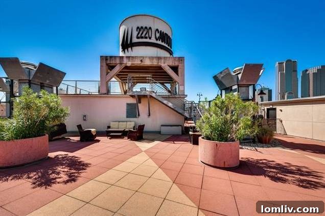 Expansive Rooftop Terrace for Entertaining at 2220 Canton