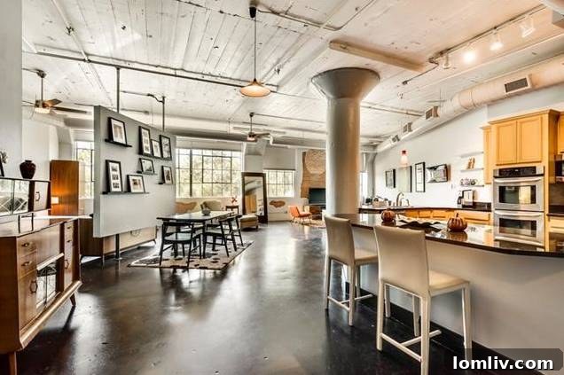 Modern Industrial Design in Dallas Loft Unit 209
