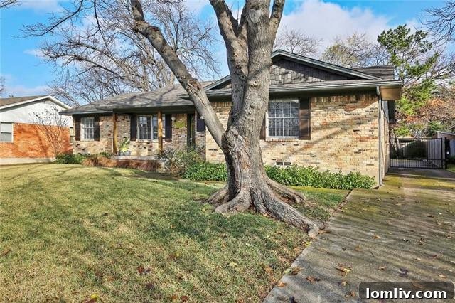 Discover Eastwood Hills: A Modernly Updated Gem at 2930 Green Meadow Dr in East Dallas