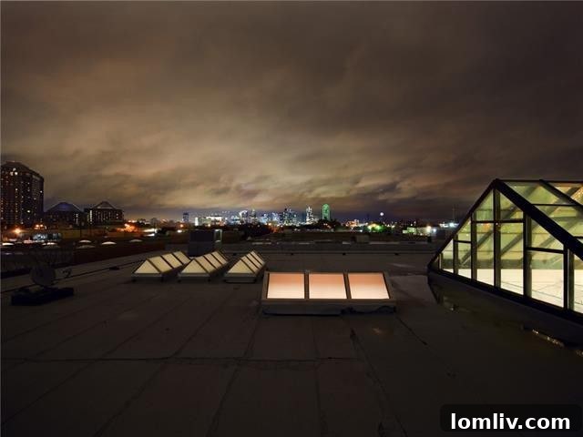 Design District's Premier Warehouse Residence: Private Waterfall and Panoramic City Views 2 Dallas Design District Luxury Warehouse Conversion