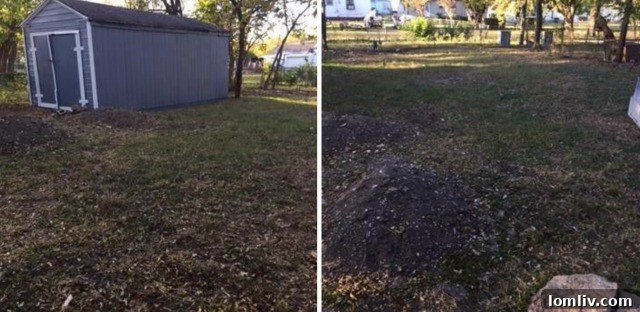 The spacious backyard of the Dallas home, featuring a practical storage shed.