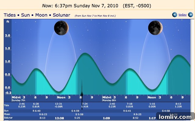 Visual representation of traffic flow patterns, illustrating daily peaks and valleys.