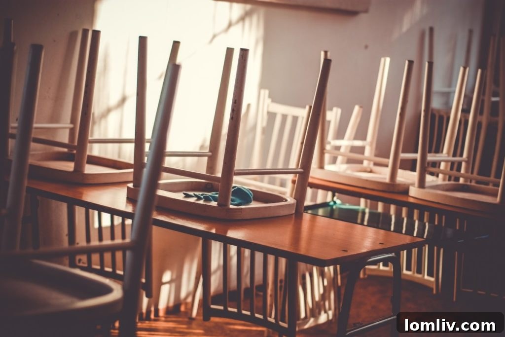 Dallas ISD Navigates DACA with Preparedness, Not Panic 2 The potential expiration of DACA could significantly impact nearly half of Dallas ISD's English language learner student population and their families, creating widespread uncertainty.