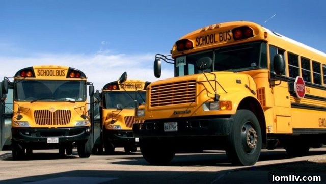 Dallas ISD school buses ready for student transportation - an image signifying new operations.