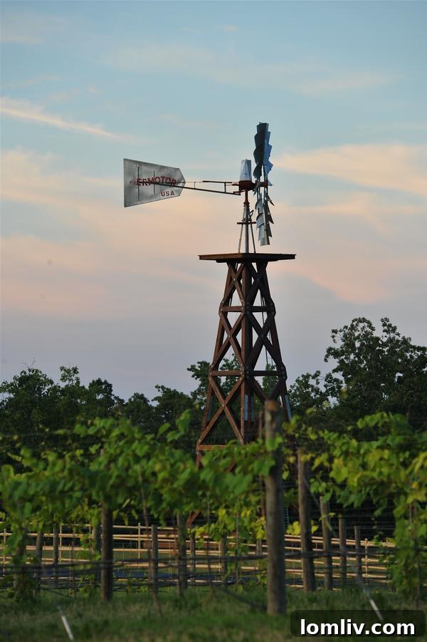 Timber Creek Ranch The Definitive Waterfront Oasis For Gentlemen in East Texas 9 Timber Creek Ranch Bedroom
