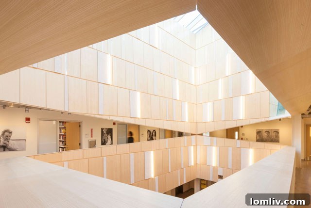 Harvard University Tozzer Anthropology Building Interior designed by Sheila Kennedy