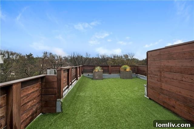 Rooftop Deck Dallas Luxury Home