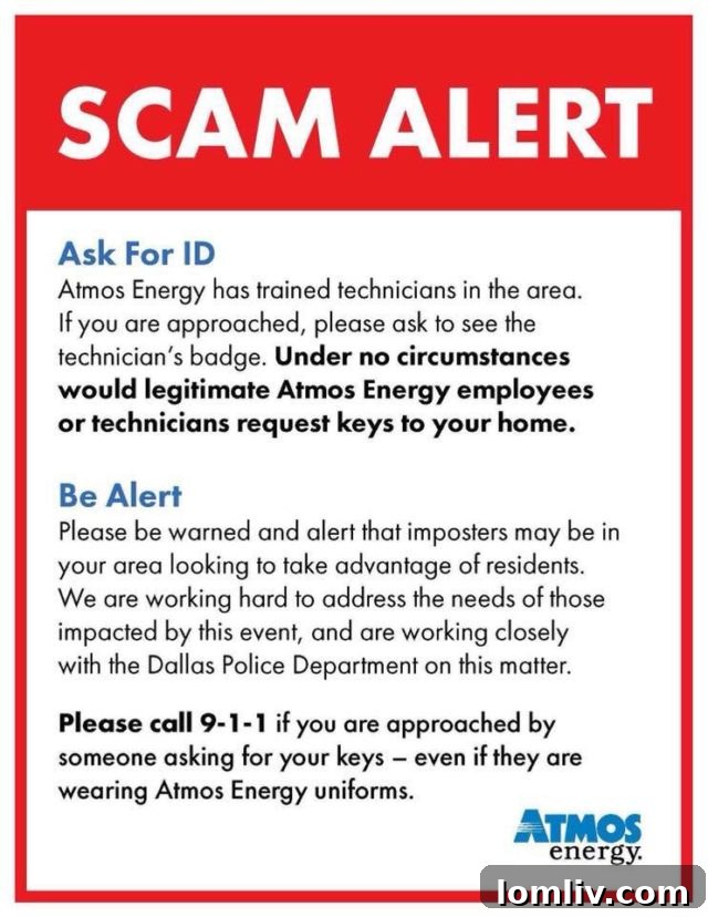 28378703_10216382965306220_1057056140492160467_n-e1520097368129