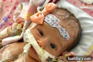 Dallas ISD Trustee's Newborn Fights for Life 3 Olivia Rene Faith Solis, a newborn fighting a serious heart defect.