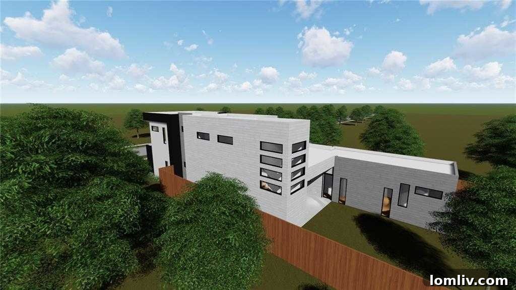 Future of Mount Auburn Dallas Neighborhood