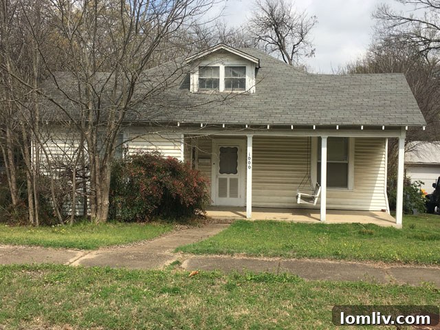 Mount Auburn Dallas Community Diversity