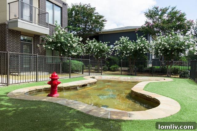 Ilume Park Dallas pet-friendly apartments