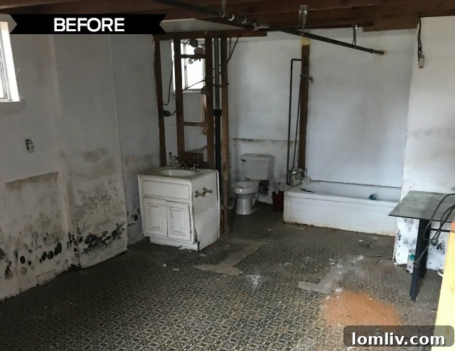 Cedar Oaks Home From Choppy To Chic A Renovation Triumph 7 Modern living room with hardwood floors 1509 Arizona