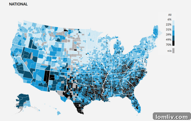 Visual representation of debt distribution, showing disparities by race and type of debt.